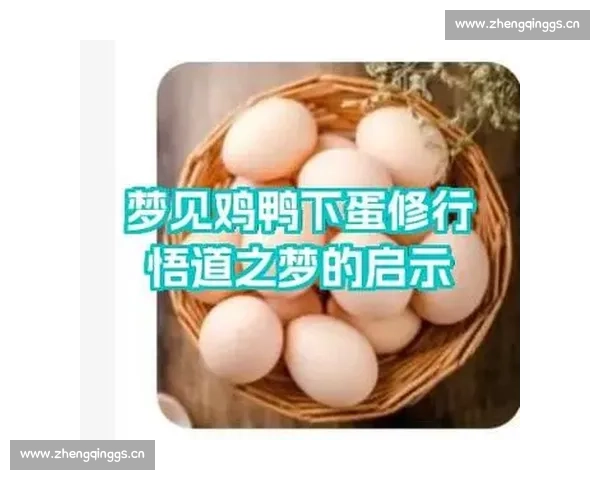 梦见别人比赛象征心理较量与现实压力变化的深层解析与人生方向启示