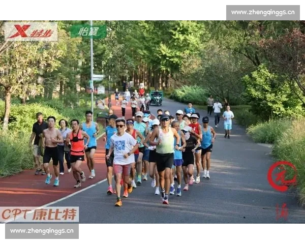 挑战自我勇攀高峰：我与马拉松赛道的无尽奋力与坚持